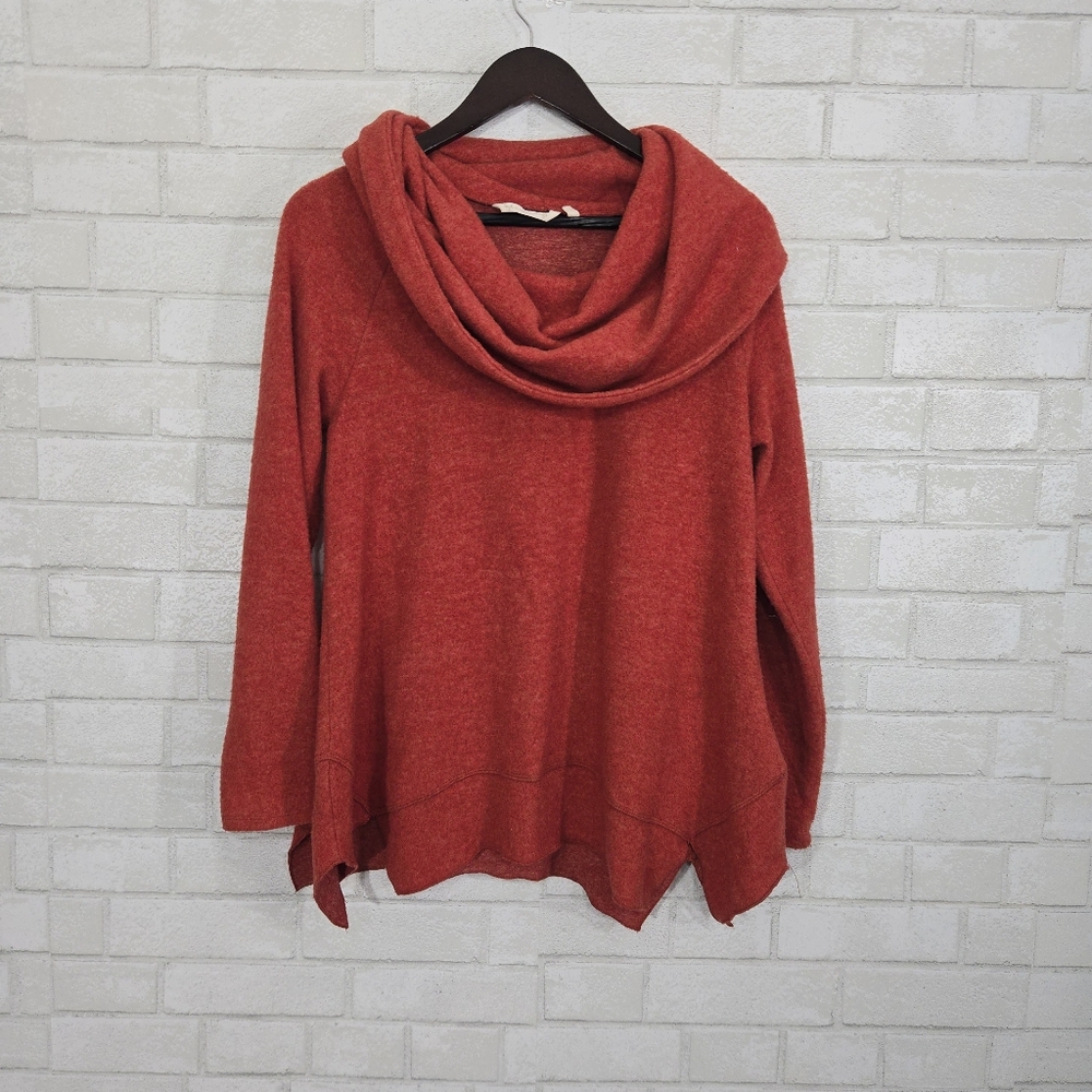 Soft Surroundings cozy turtleneck top
